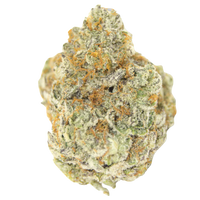 Permanent Whitemarker Autoflower