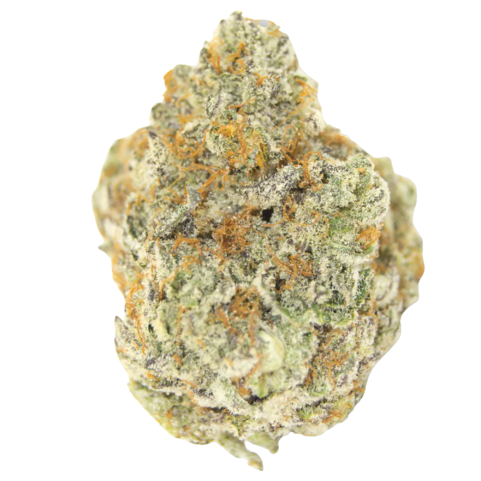 Permanent Whitemarker Autoflower