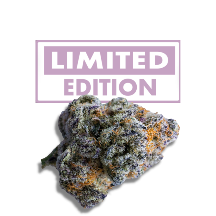 Platinum Mimosa Cookies Double XL Autoflower
