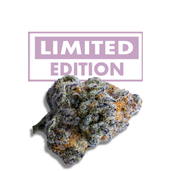 Platinum Mimosa Cookies Double XL Autoflower