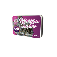 Mimosa Gusher Limited Edition
