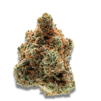 Monkey Glue