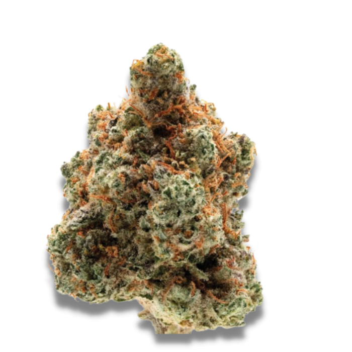 Monkey Glue