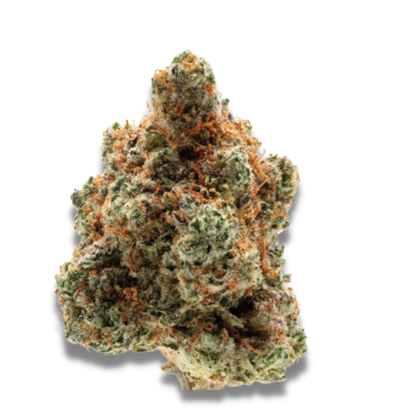 Monkey Glue