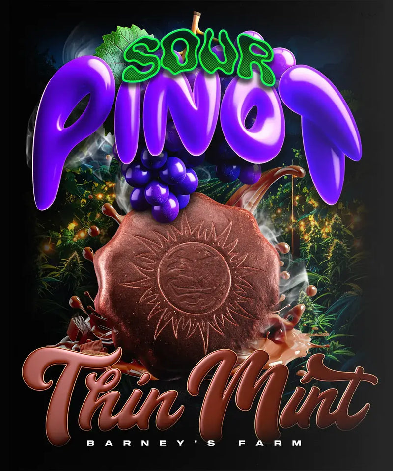 Thin Mint x Sour Pinot Auto Strain