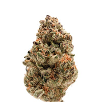Rainbow Candy Autofiorente