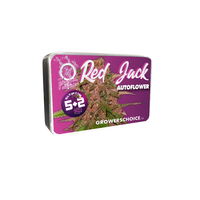 Red Jack Autoflower