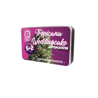 Tropicana Weddingcake Autofiorenti