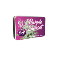 Purple Sunset