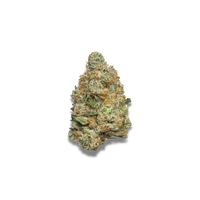 Apple Fritter Autoflower