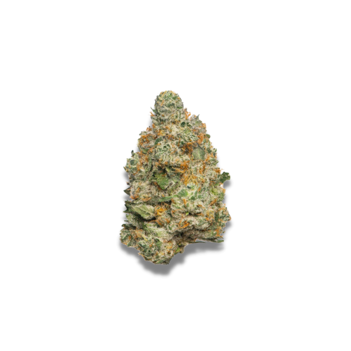 Apple Fritter Autoflower