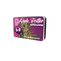 Apple Fritter Autoflower