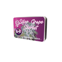 Silvergrape Sherbet