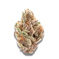 Sour Zkittlez