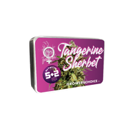 Tangerine Sherbet