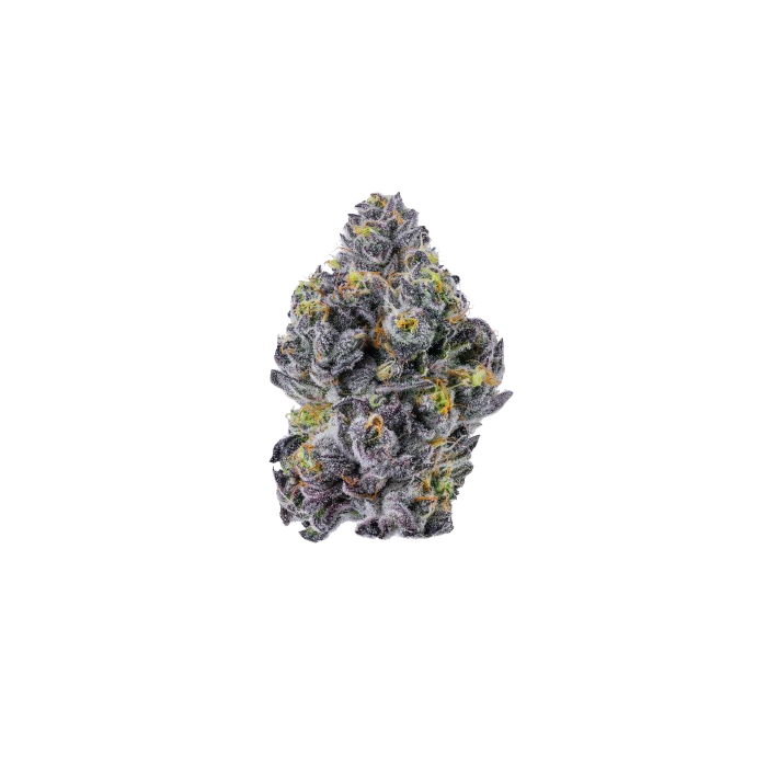 Triploid f1 Sticky wasabi
