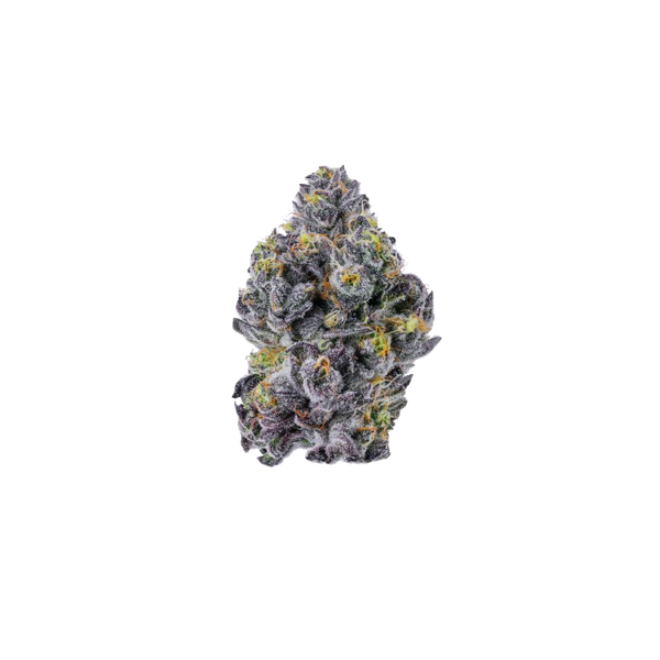 Triploid f1 Sticky wasabi