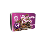 Triploid F1 Tropicana cherry