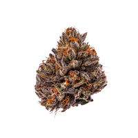 Triploid F1 Tropicana cherry