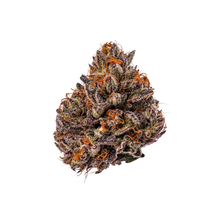 Triploid F1 Tropicana cherry