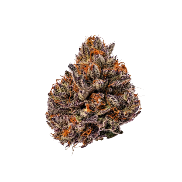 Triploid F1 Tropicana cherry