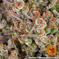 OG Kush Strain