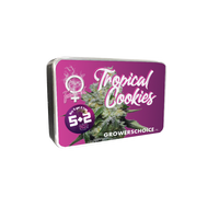 Tropical Cookies