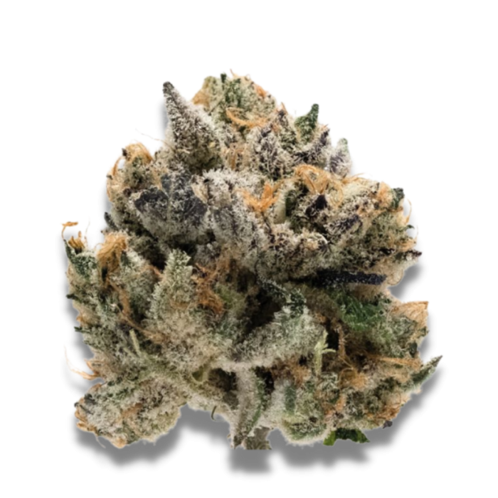 Tropical Cookies