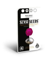 Semi di Bad Apple Femminizzati