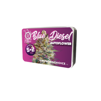 Blue Diesel Autoflower