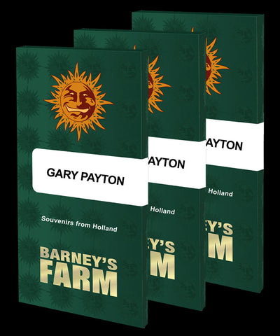 Gary Payton Strain