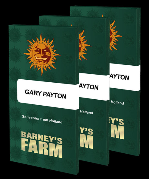 Gary Payton Strain