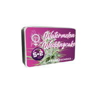 Watermelon Weddingcake