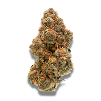 Weddingcake x Frosty Gelato