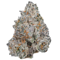 White Truffle Limited Edition