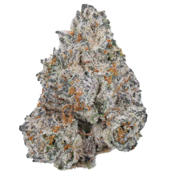 White Truffle Limited Edition