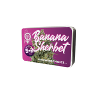 Banana Sherbet
