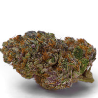 Blue Dream Sherbet Autofiorenti