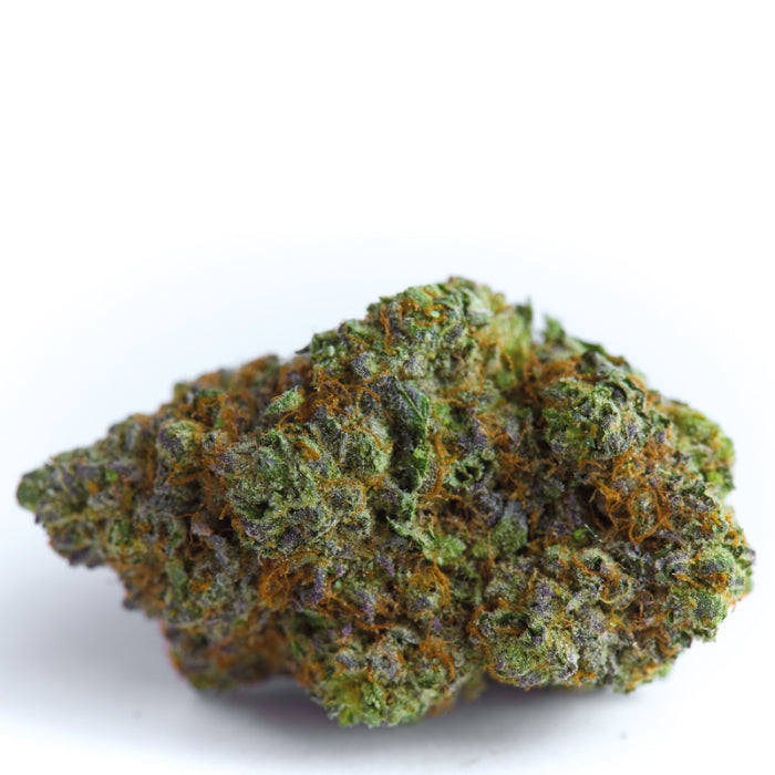 Blue Forestberry Autofiorenti