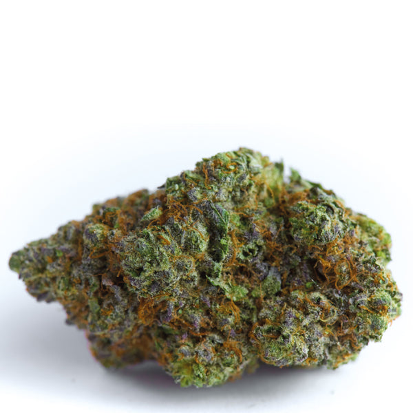 Blue Forest Berry