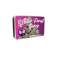 Blue Forest Berry
