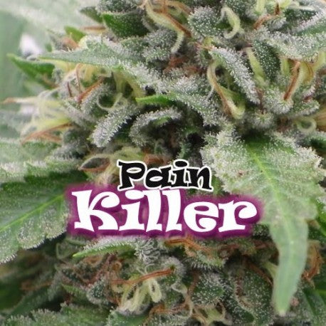 PainKiller