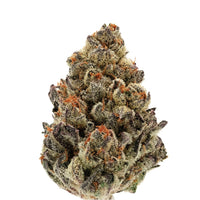 Bruce Banner Autofiorenti