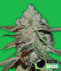 Atomic