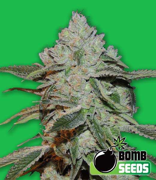 Atomic