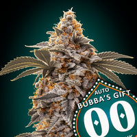Auto Bubba's Gift