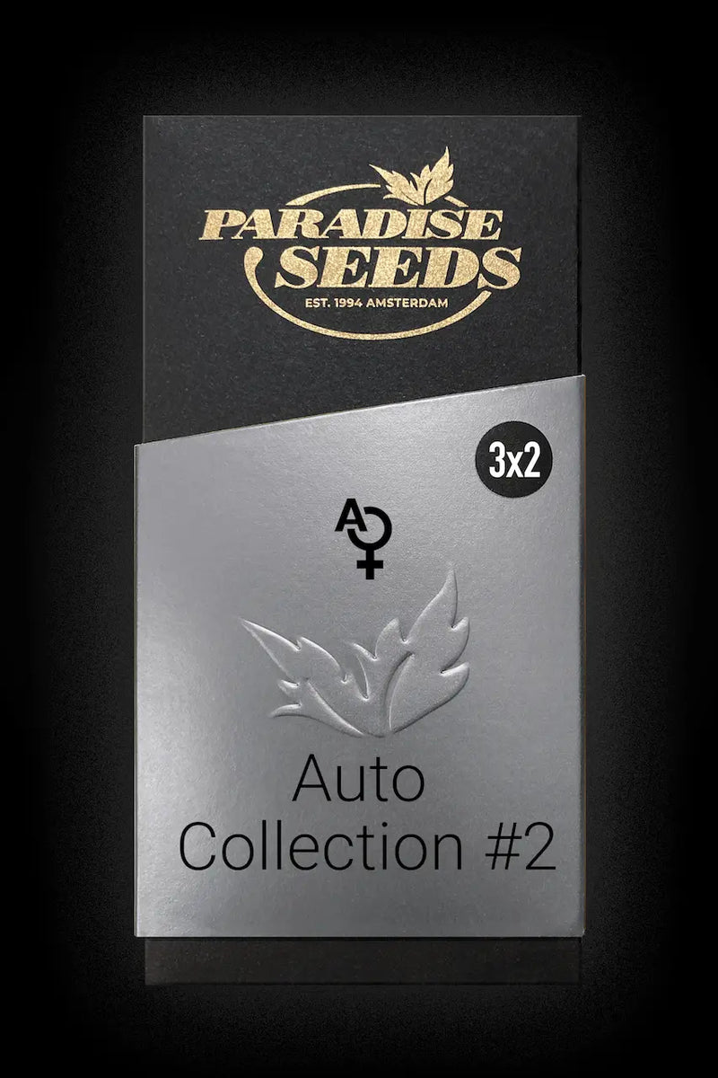 Autoflowering strains Auto Collection Pack #2