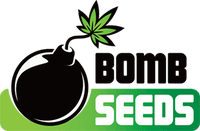 bomb seeds