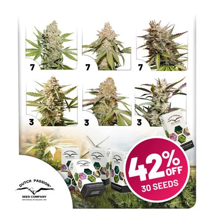 Confezione Promo Autofiorenti