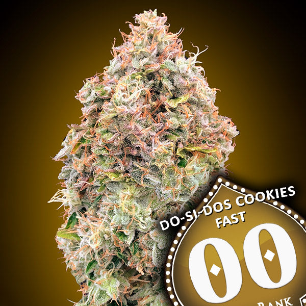 Do-Si-Dos Fast Cookies